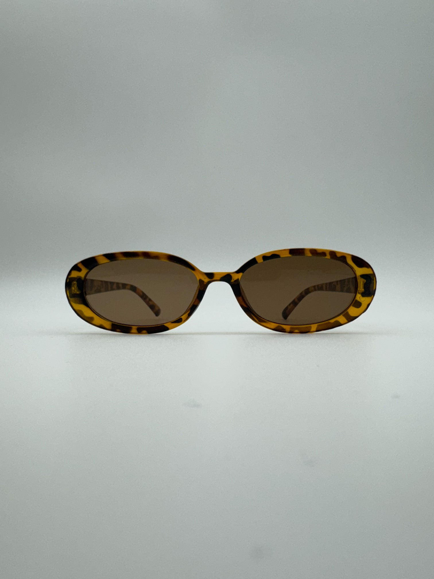 Hedda - Tortoise